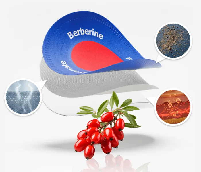 Purisaki Berberine Patch ingredients and how it works with Berberine Pomegranate Fucoxanthin